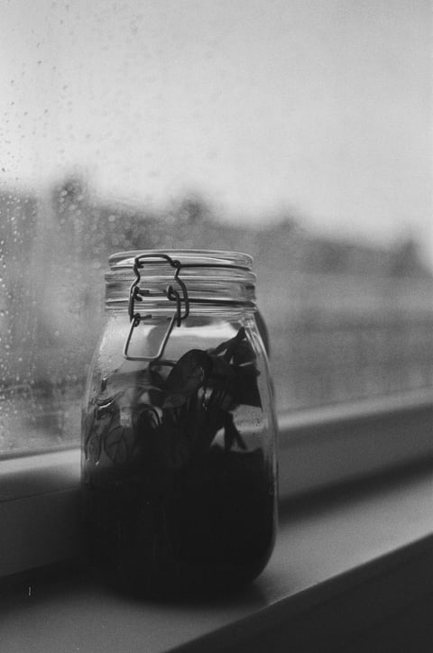 A wire-clamp glass jar holding dark leaves in water rests on a windowsill, a rain-speckled window and blurred city beyond in soft black-and-white light.