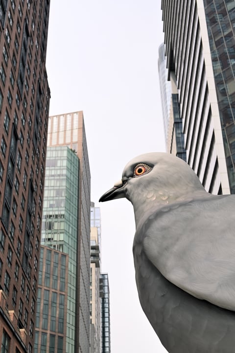 A pigeon in sharp close-up gazes toward the camera as glass towers rise behind it under an overcast sky.