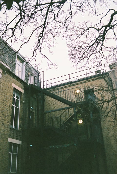 Metal fire-escape stairs zigzag across a brick building beneath bare branches and a pale dusk sky.