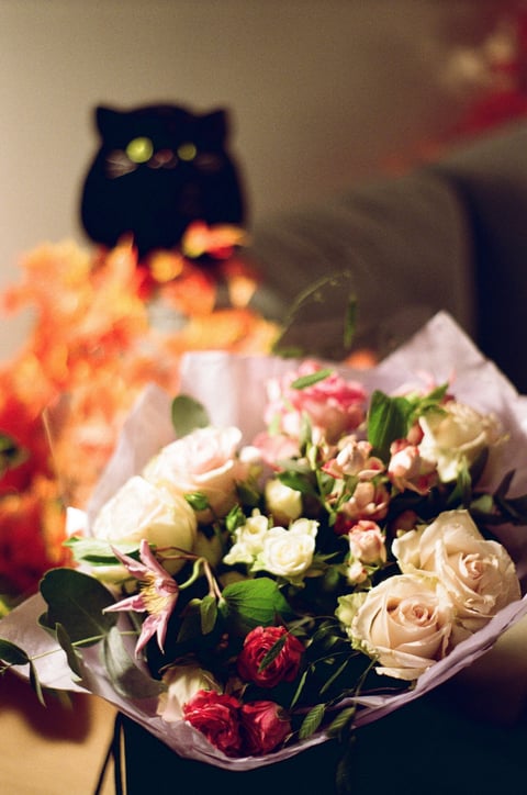 A bouquet of pink and cream roses in paper, with a dark cat ornament glowing behind in warm light.