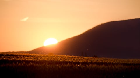The sun setting behind a mountain ridge over a field.