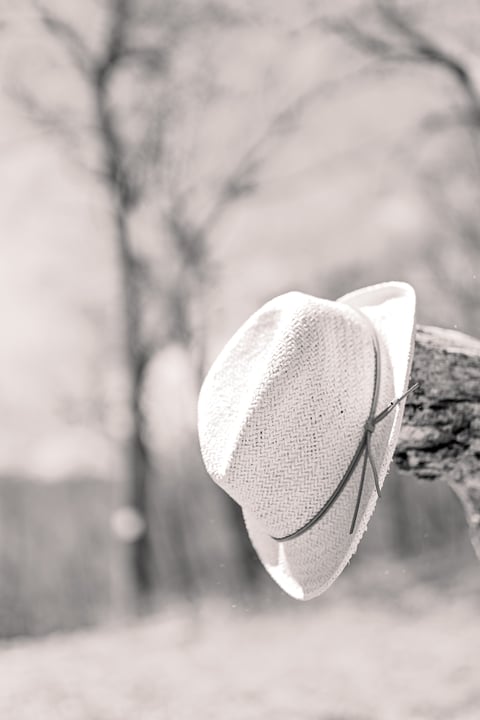 A pale straw cowboy hat hanging on a bare branch against a soft, blurred wintry background.
