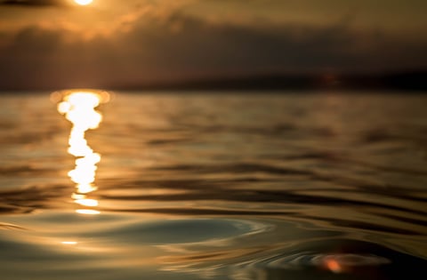 Golden sunlight reflecting on rippled water.