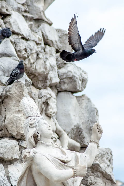 Birds flying around pale stone sculpture details.