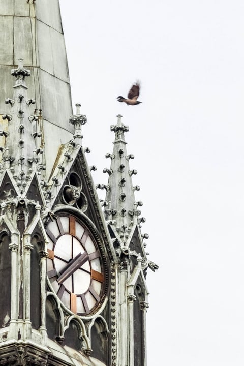 Tall clock tower and stone architecture with a bird flying nearby.